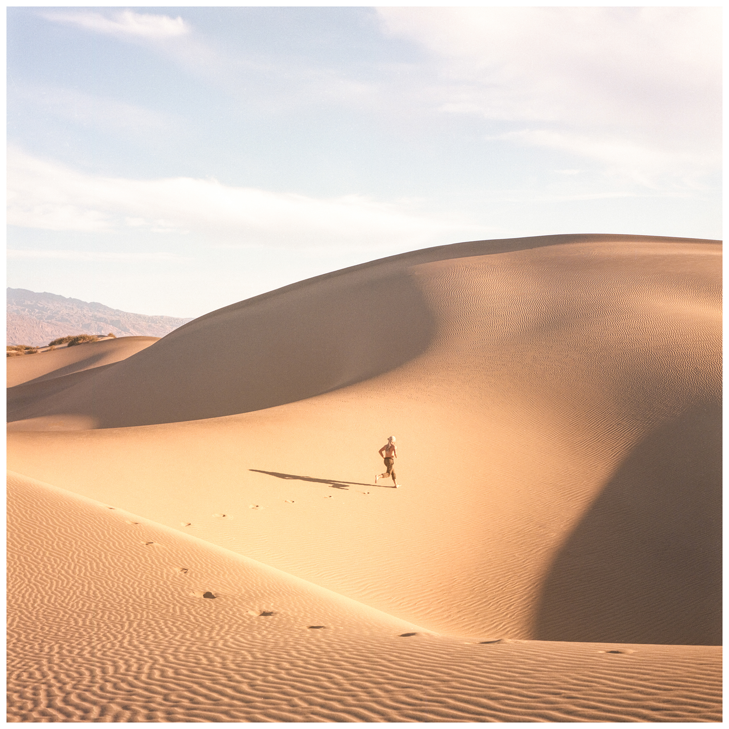 プロ用カラーフィルム | Kodak Alaris